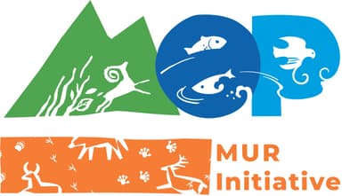 MUR Initiative